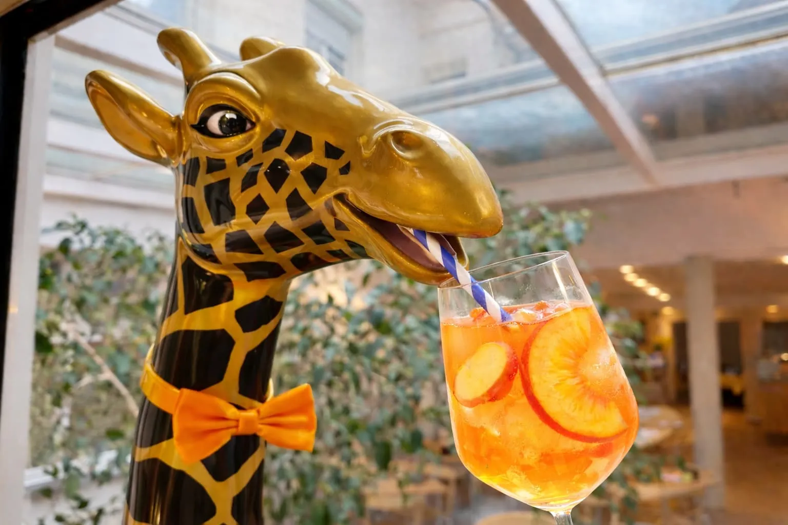 Campari Orange